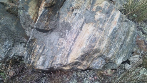 Гигантские зелёные валуны для ландшафтного дизайна весом более 5 тонн купить в Краснотурьинске